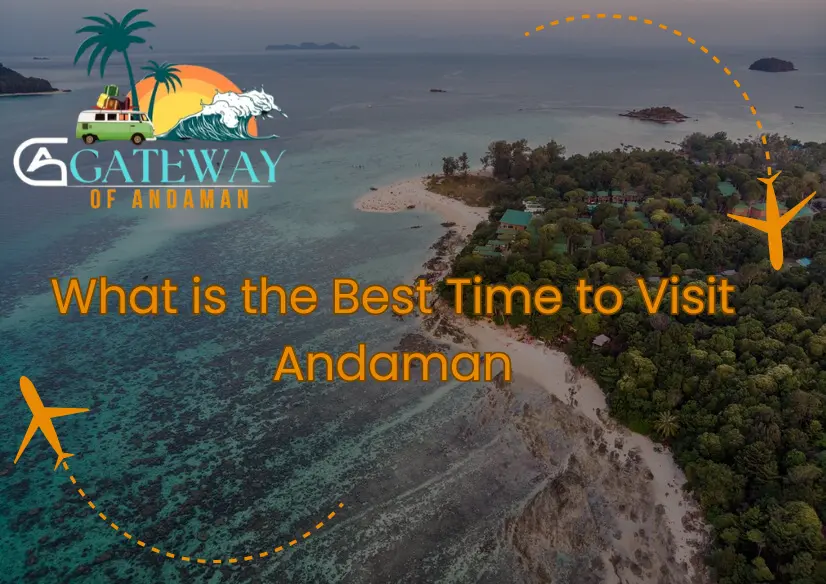What is the Best Time to Visit Andaman