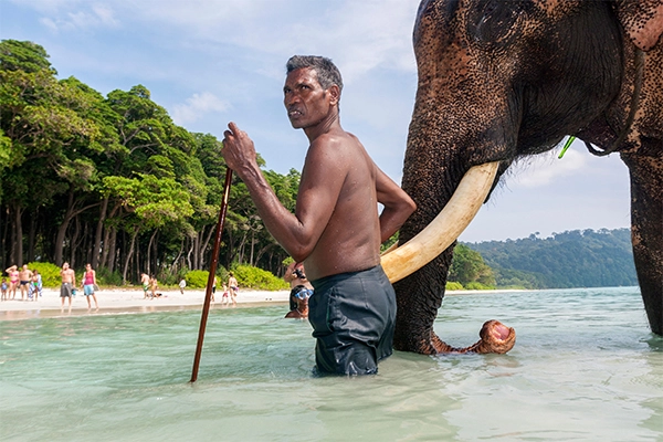 elephant beach