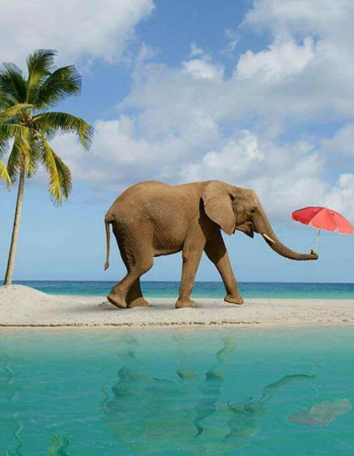 Snorkeling at Elephant Beach, one of the best water activity places to visit in Andaman