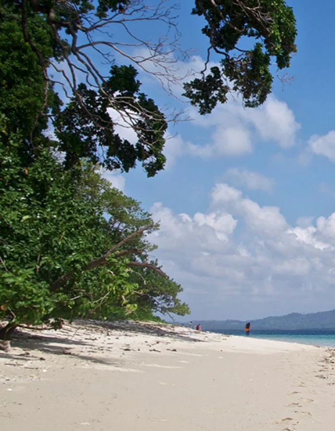 Crystal-clear waters and coral reefs at Jolly Buoy Island, a must-see place to visit in Andaman