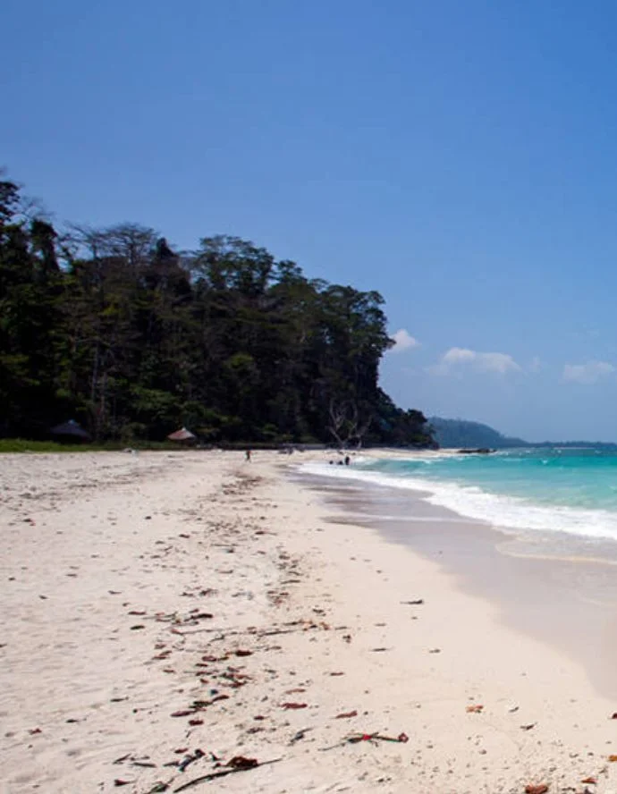 Golden sands and black rocks at Kalapathar Beach, a peaceful place to visit in Andaman