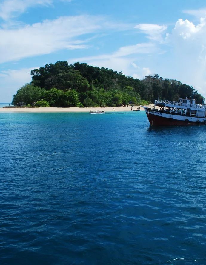 Coral reefs at Red Skin Island, a snorkeling hotspot and protected place to visit in Andaman