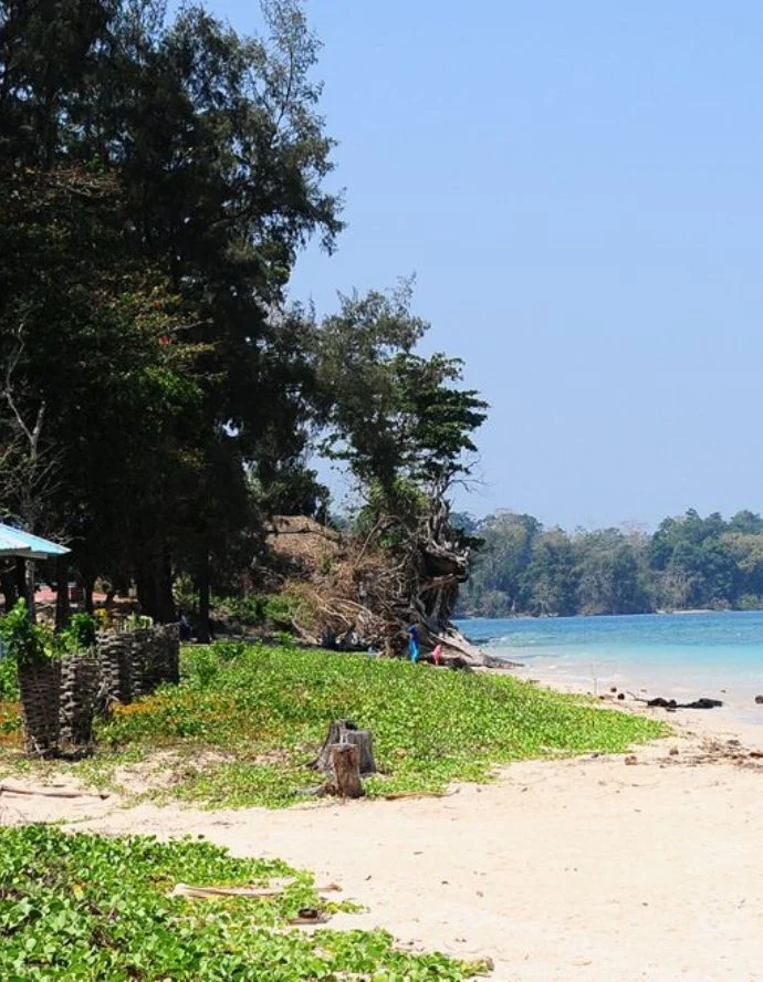 Mangrove-lined Wandoor Beach, a gateway to marine national parks and a tranquil place to visit in Andaman