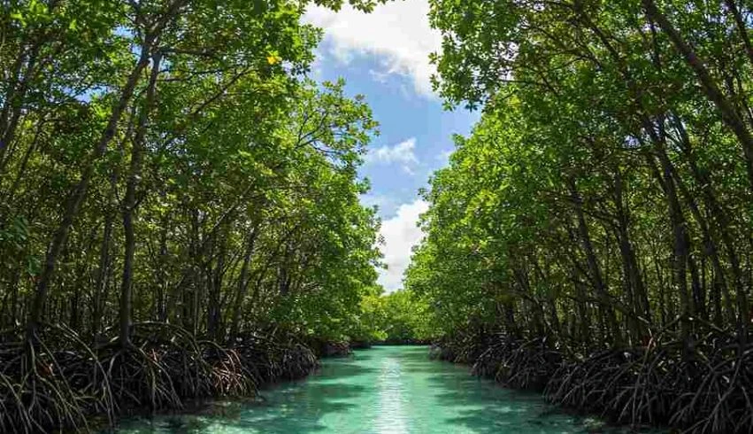 andaman tour package of 3n-4d-03