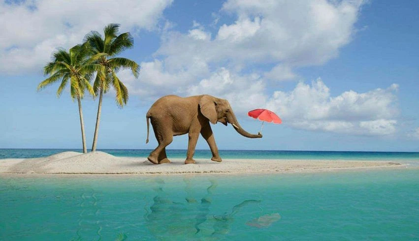 andaman tour package of 4n-5d-03