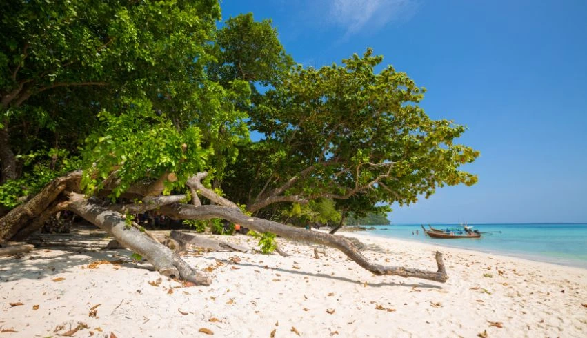 andaman tour package of 5n-6d-02