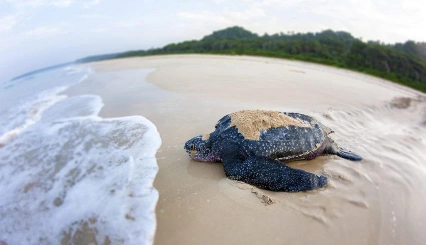 andaman tour package of 7n-8d-02
