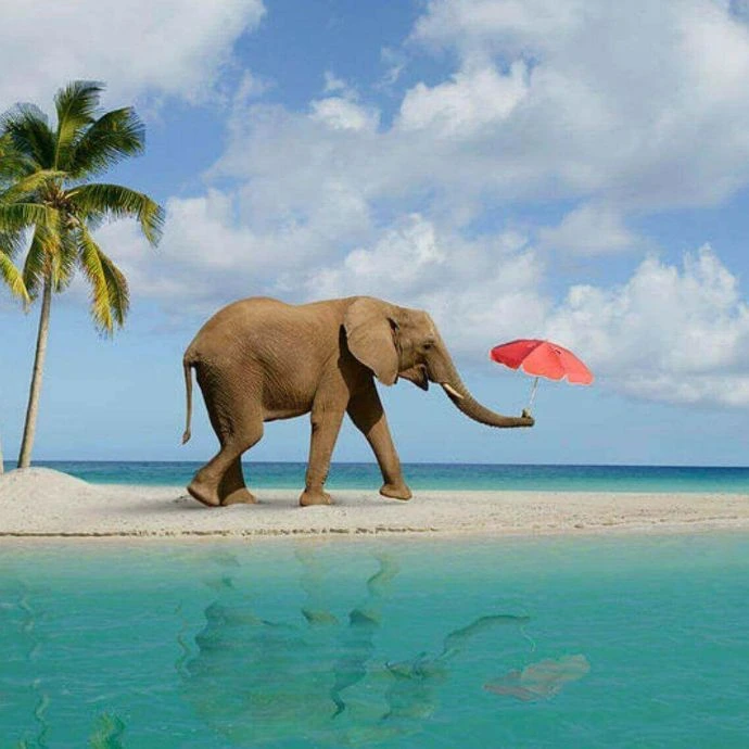 Elephant Beach adventure tour by tour and travel agency in Andaman
